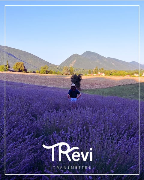 Trevi Mltx conseils, expert en mission Savoir-faire, référencé PCRH Trevi Mltx conseils, expert en mission Savoir-faire, référencé PCRH
