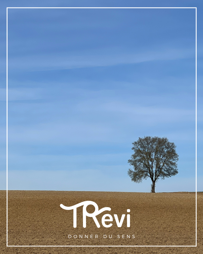 GPEC, Knowledge management, Gestion des connaissances, Diagnostic RH, Accompagnement Stratégique, AFEST